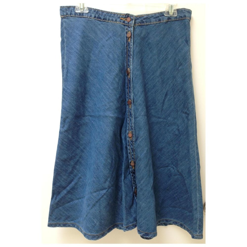 NWT BLANKNYC denim flare button front skirt 1970s ABBA size 27 fits size 6 or 8